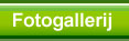 Fotogalerij groenverhuur