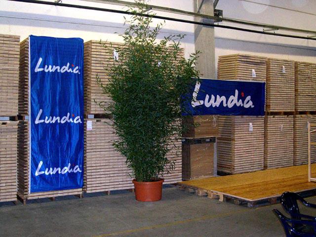 Locatie Lundia
