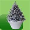 Kerstboom wit