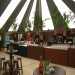 Bar aankleding met palmen