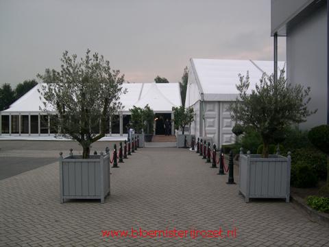 bakel brabant