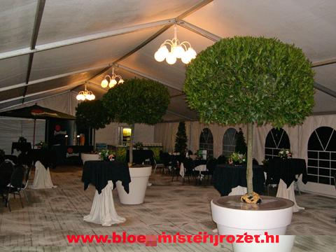 Opening Golfbaan in Hoog - Keppel