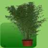 Groenverhuur - planten huren - Bloemisterij Rozet