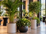 Foto's plantverhuur - Bloemisterij Rozet